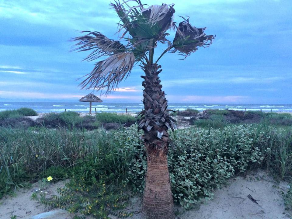 Unobstructed Oceanfront Seagull Unit 3 Beach Pad! Villa Surfside Beach Dış mekan fotoğraf
